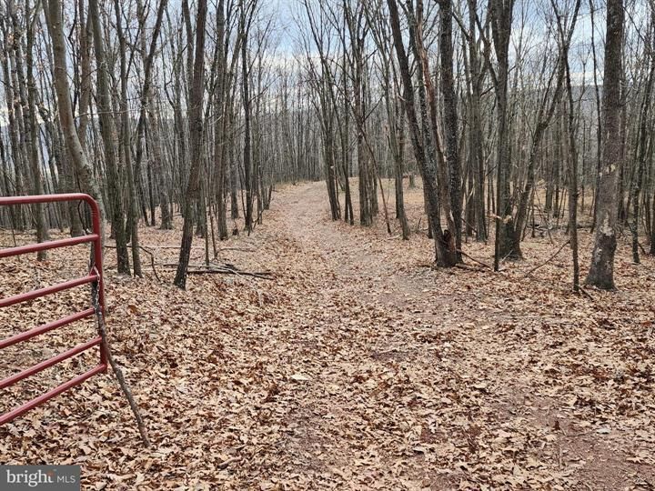 Baker, Hardy County, WV Recreational Property, Horse Property for sale