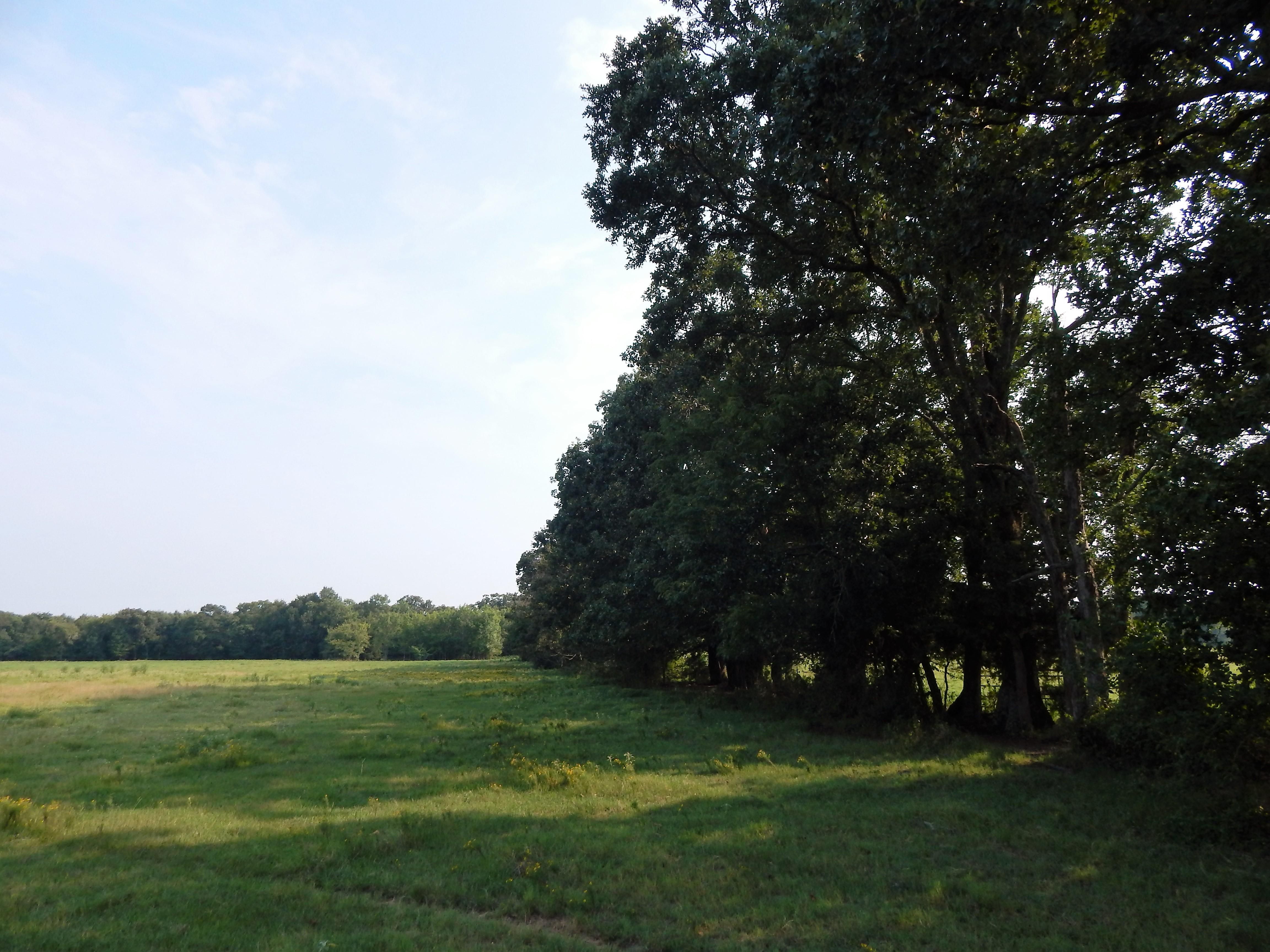 Lot 7 7th Street Southwest, Bogata, TX 75417 MLS 4223313545 LandWatch