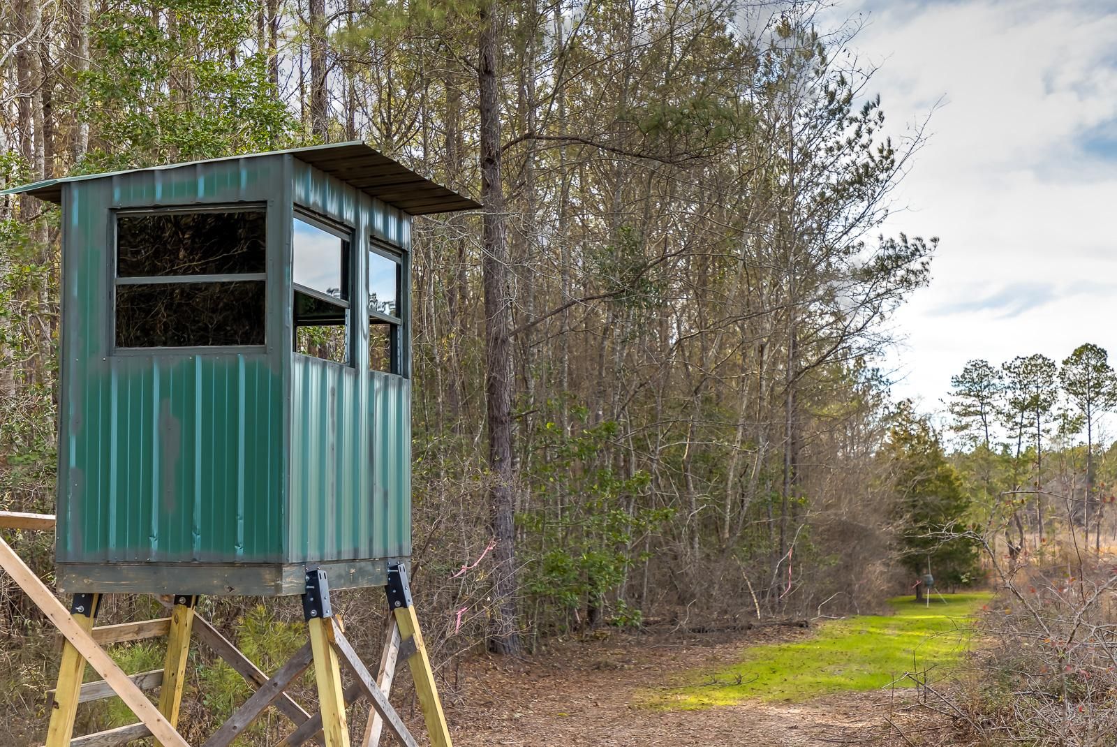 Banks, Pike County, AL Recreational Property, Timberland Property