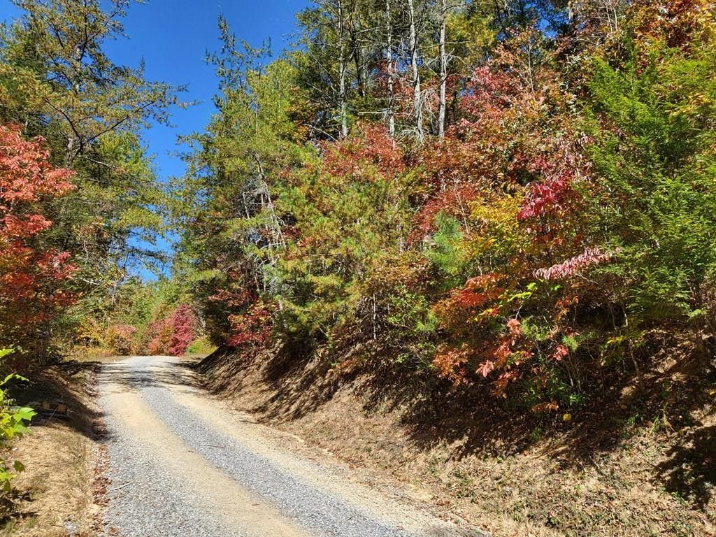 Cosby, Sevier County, TN Farms and Ranches, Homesites for sale Property