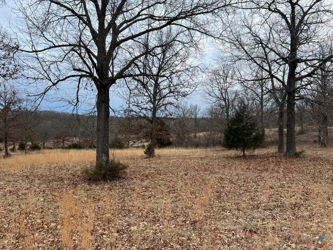 Warsaw, Benton County, MO Undeveloped Land for sale Property ID