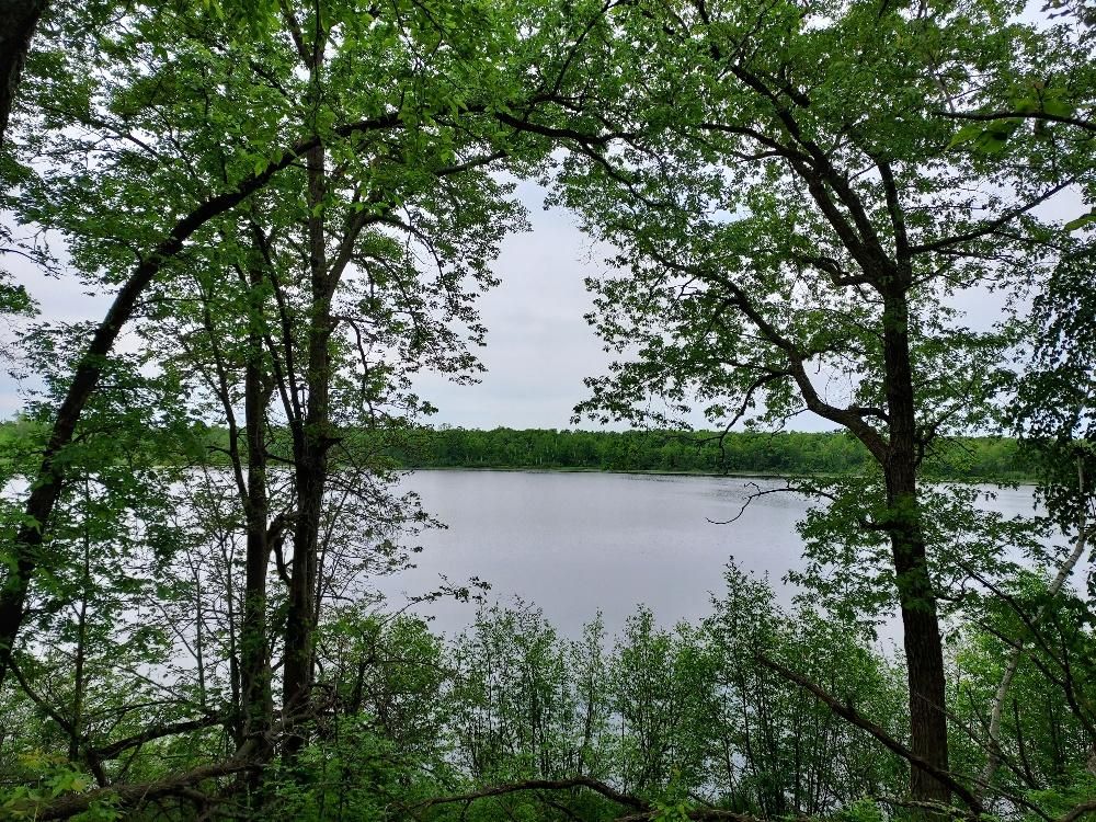 Turtle Lake, Polk County, WI Recreational Property, Hunting Property, Lakefront Property