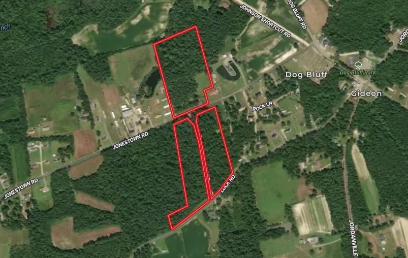 Galivants Ferry, Horry County, SC Recreational Property, Timberland