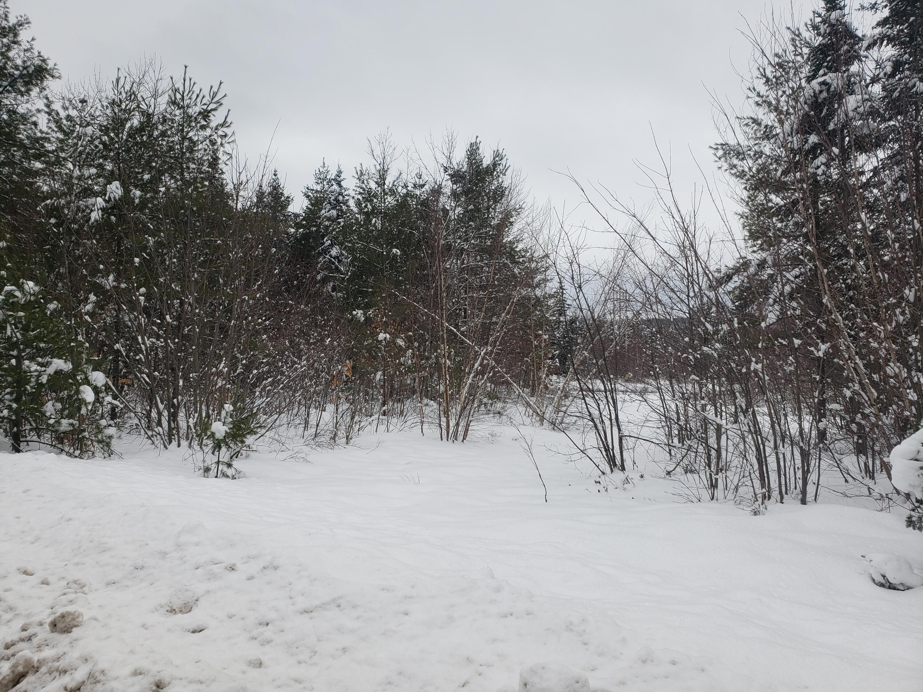 Sweden, Oxford County, ME Undeveloped Land, Lakefront Property