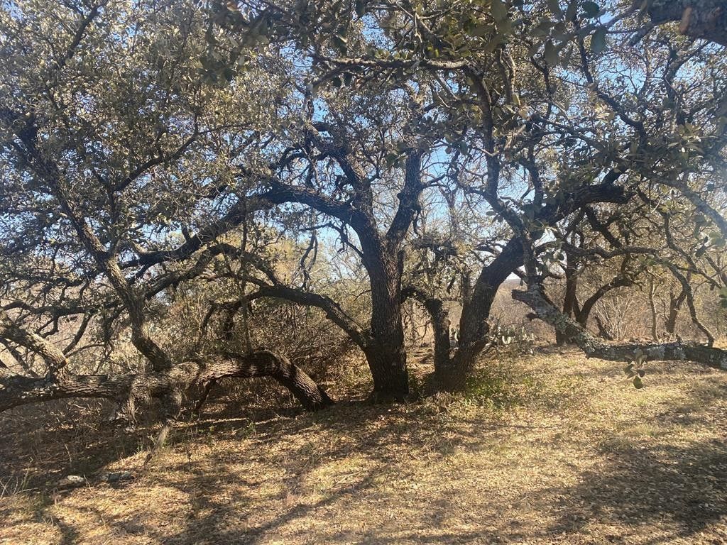 Valera, Coleman County, TX House for sale Property ID 415652470