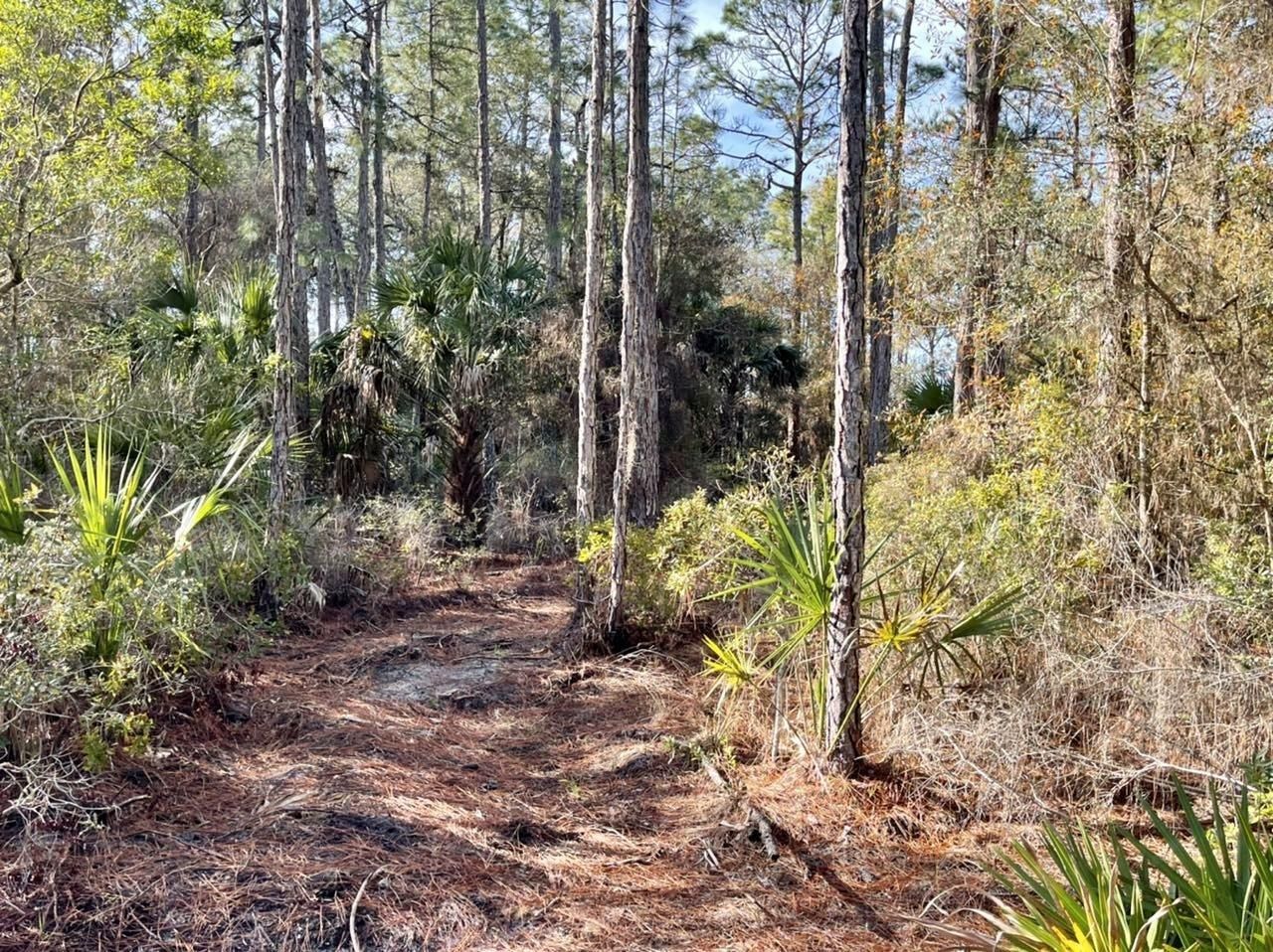 Cedar Key, Levy County, FL Recreational Property, Hunting Property for