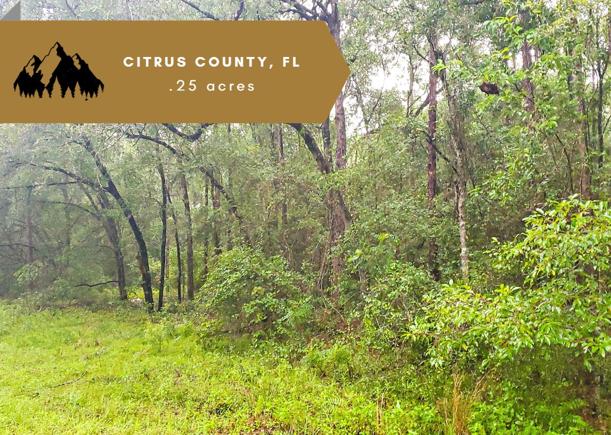 Citrus Springs, Citrus County, FL Recreational Property, Undeveloped Land, Homesites for sale