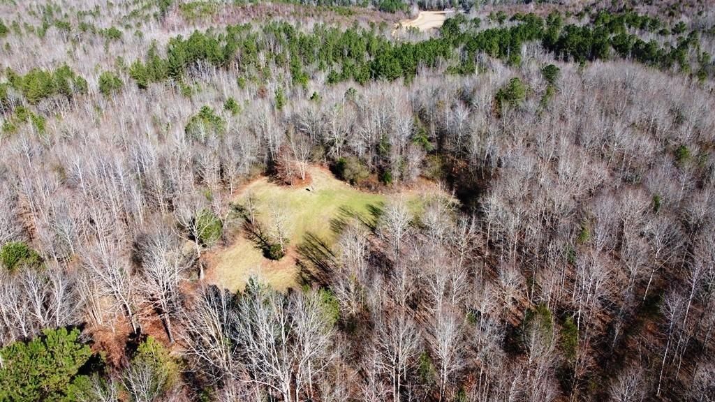 Vernon, Lamar County, AL Farms and Ranches, Recreational Property