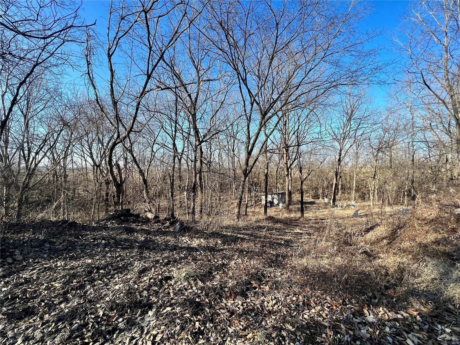 Dorsey, Madison County, IL Farms and Ranches for sale Property ID