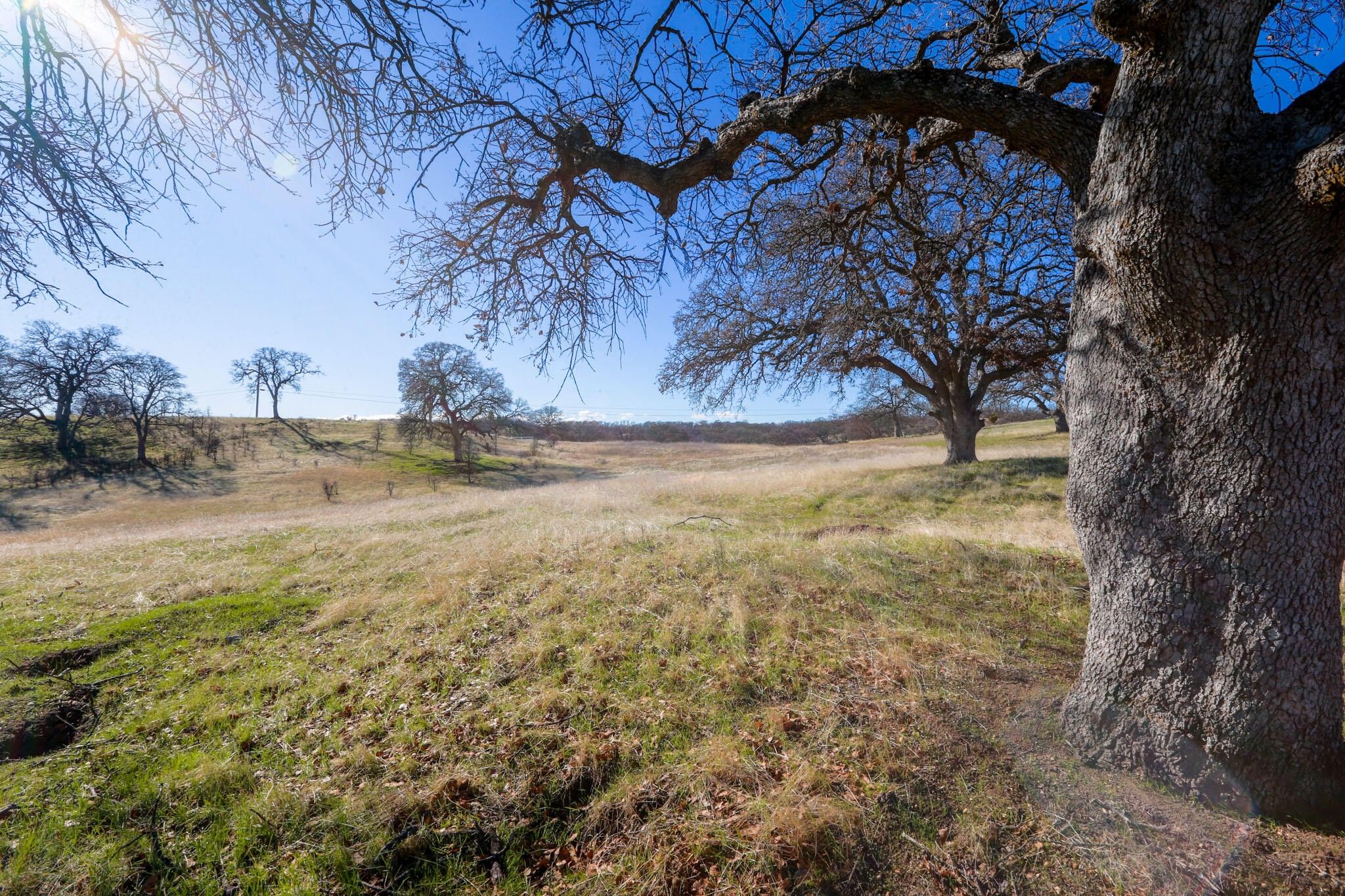Red Bluff, Tehama County, CA Farms and Ranches, Lakefront Property