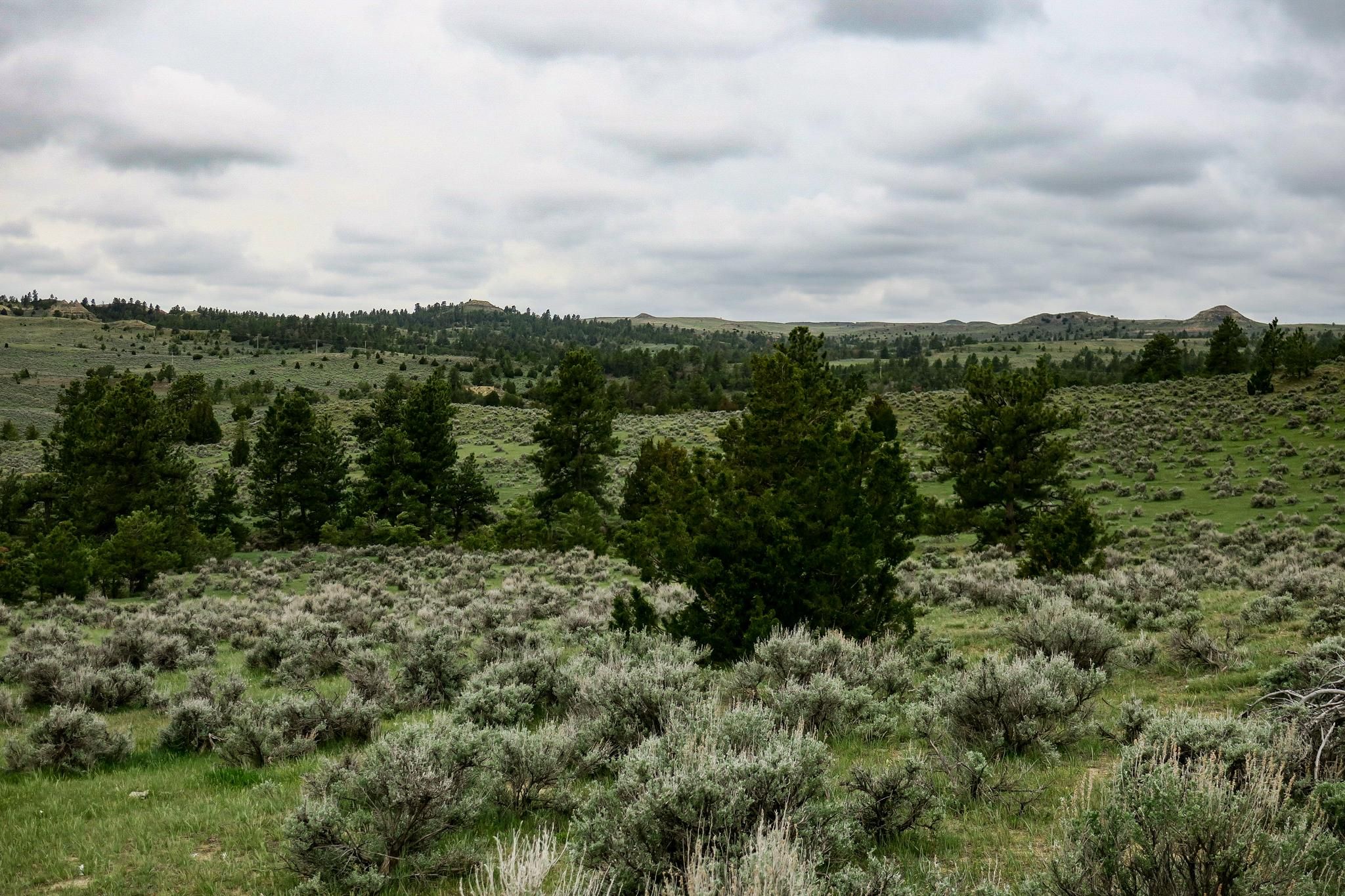 425 Bitter Creek Rd, Recluse, WY 82725 MLS Bitter Creek Hunting