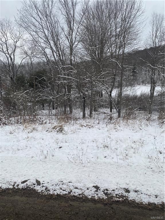Little Genesee, Allegany County, NY Undeveloped Land, Homesites for