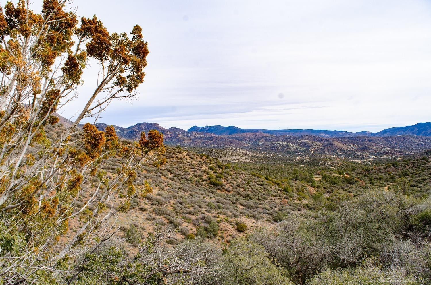 Tehachapi, Kern County, CA Undeveloped Land for sale Property ID