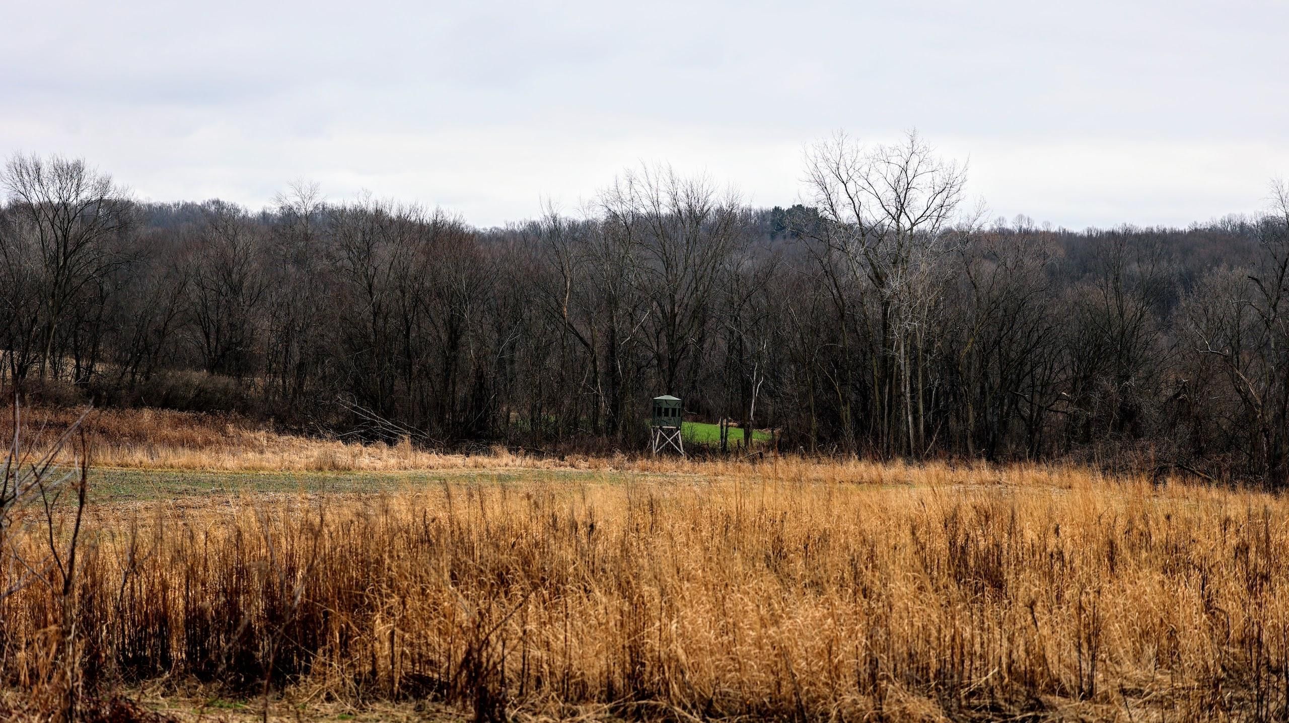 Marcellus, Cass County, MI Recreational Property, Timberland Property