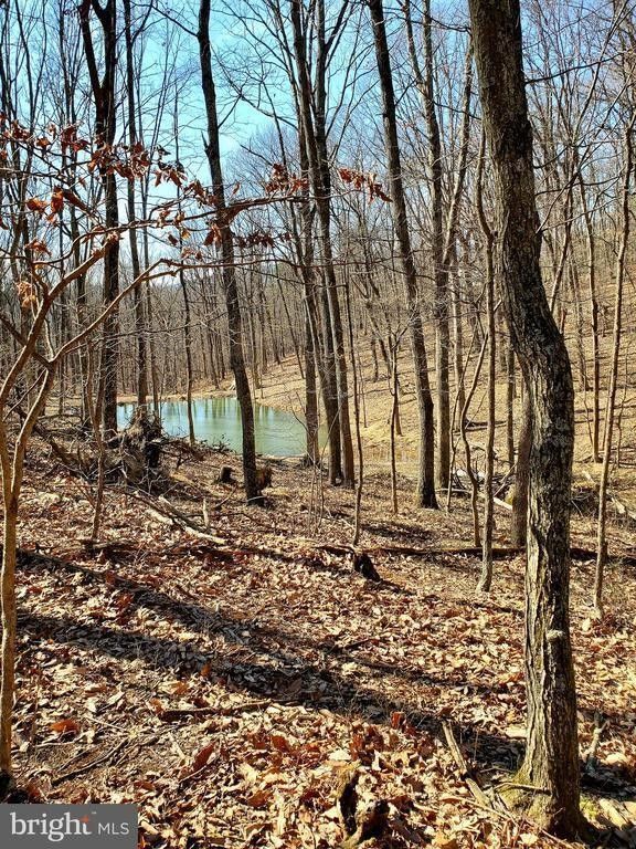 Cross Junction, Frederick County, VA Undeveloped Land, Homesites for