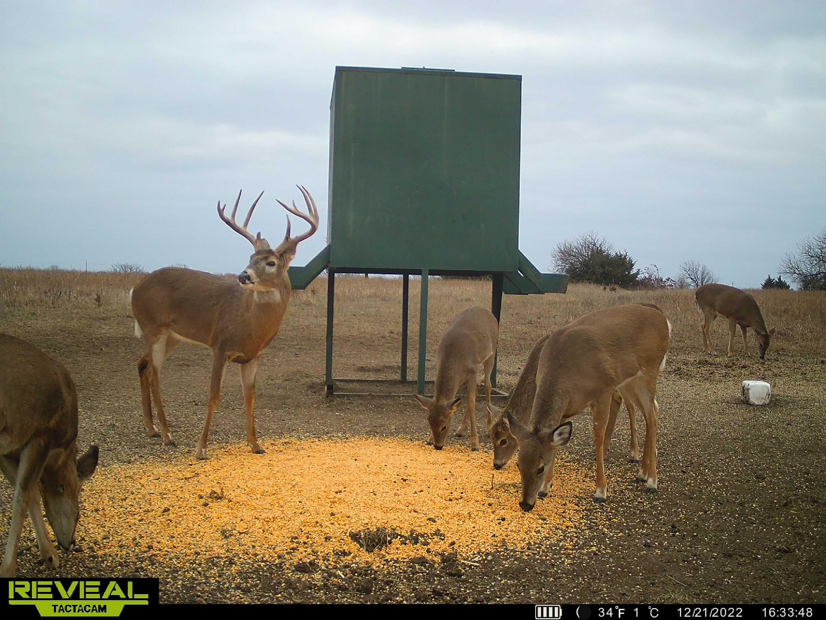 Yates Center, Woodson County, KS Farms and Ranches, Recreational