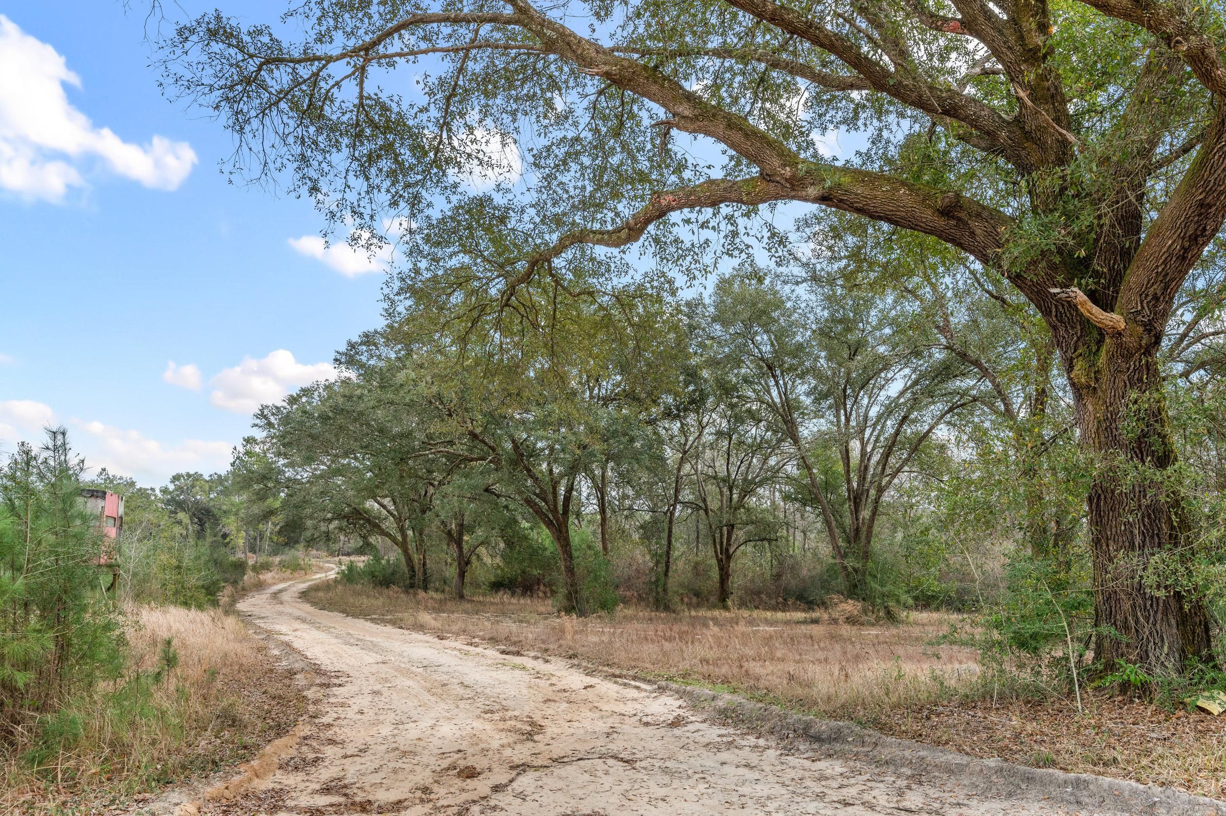 Mobile, Mobile County, AL Recreational Property, Hunting Property for