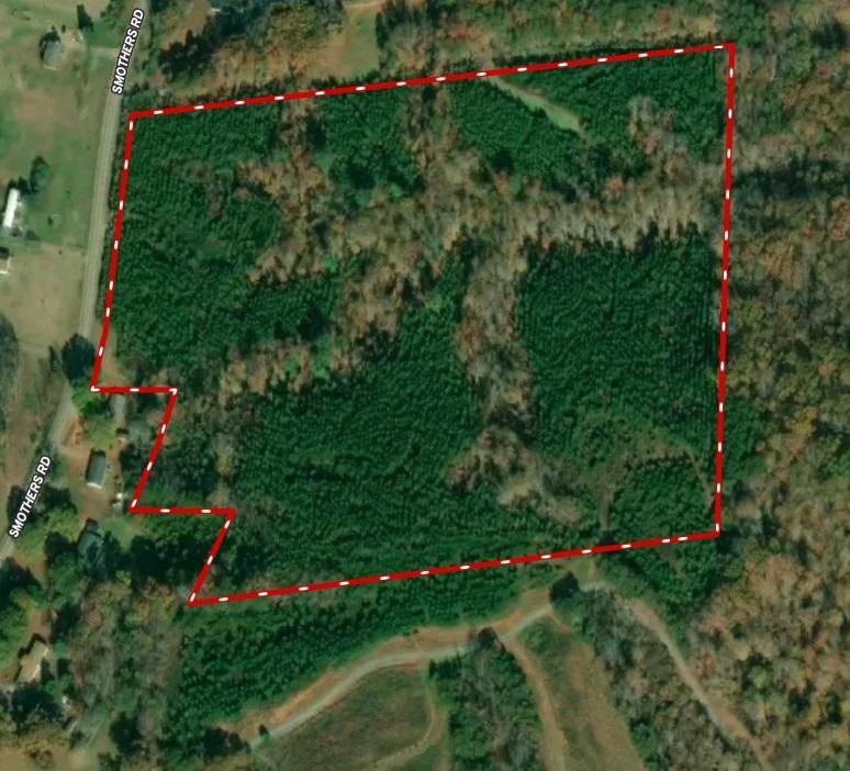 Madison, Rockingham County, NC Recreational Property, Timberland