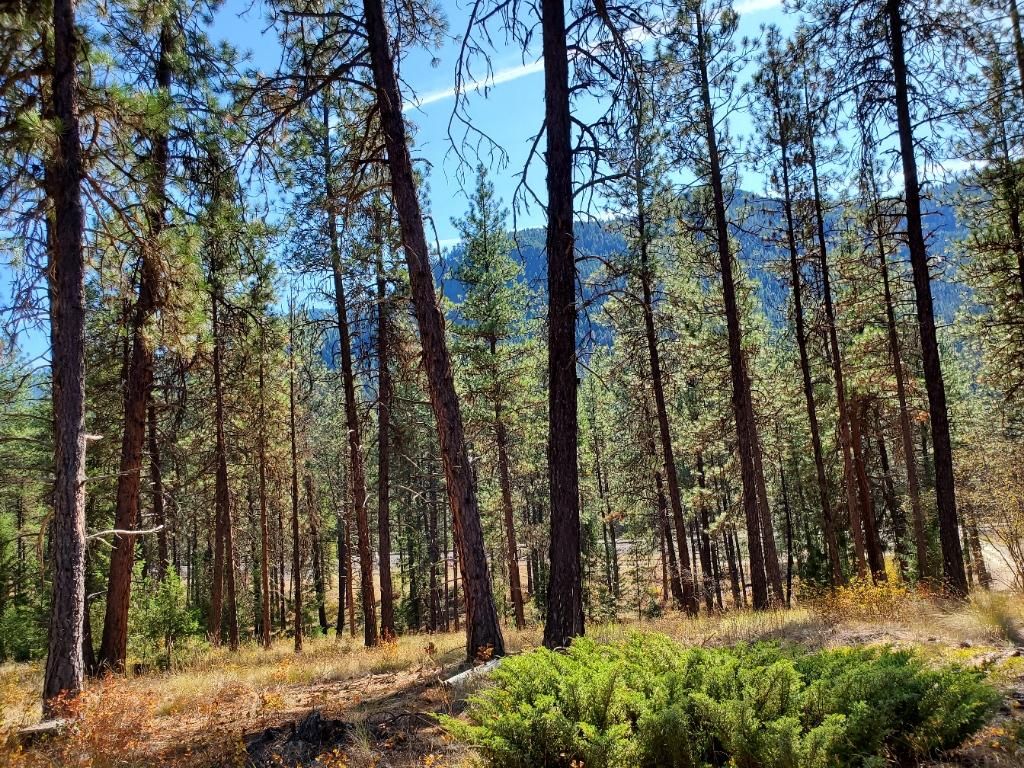 Saint Regis, Sanders County, MT Undeveloped Land, Horse Property