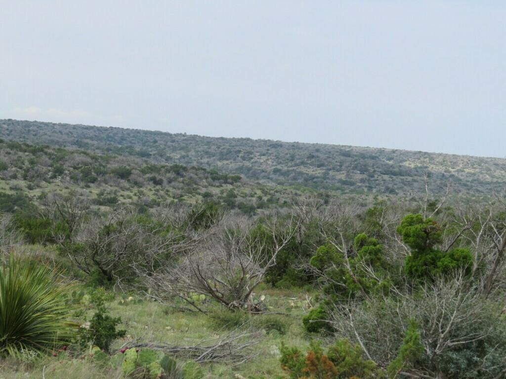 Sonora, Sutton County, TX Farms and Ranches, Recreational Property