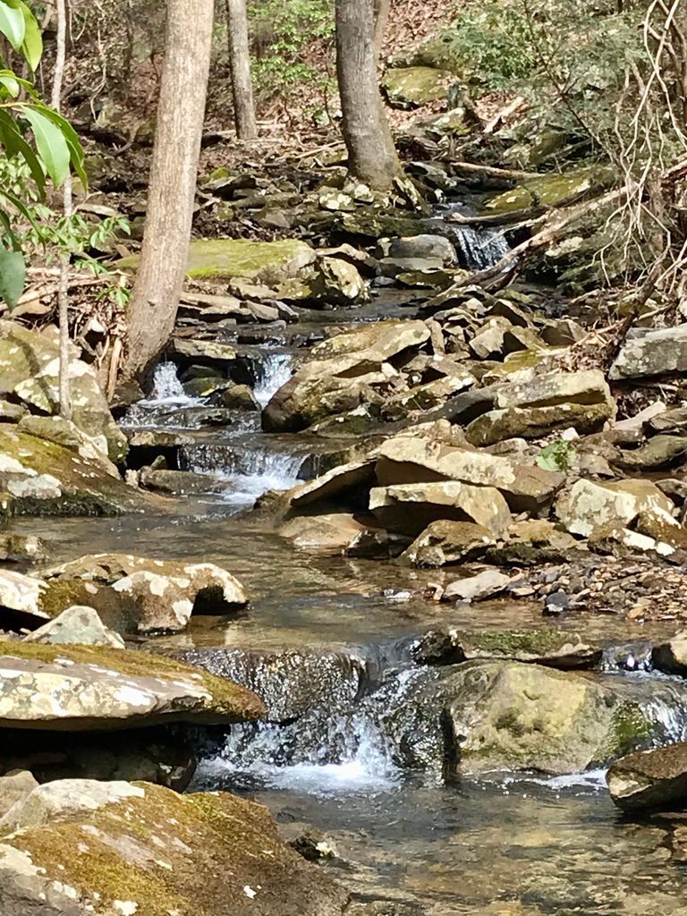 Dunlap, Sequatchie County, TN Undeveloped Land for sale Property ID