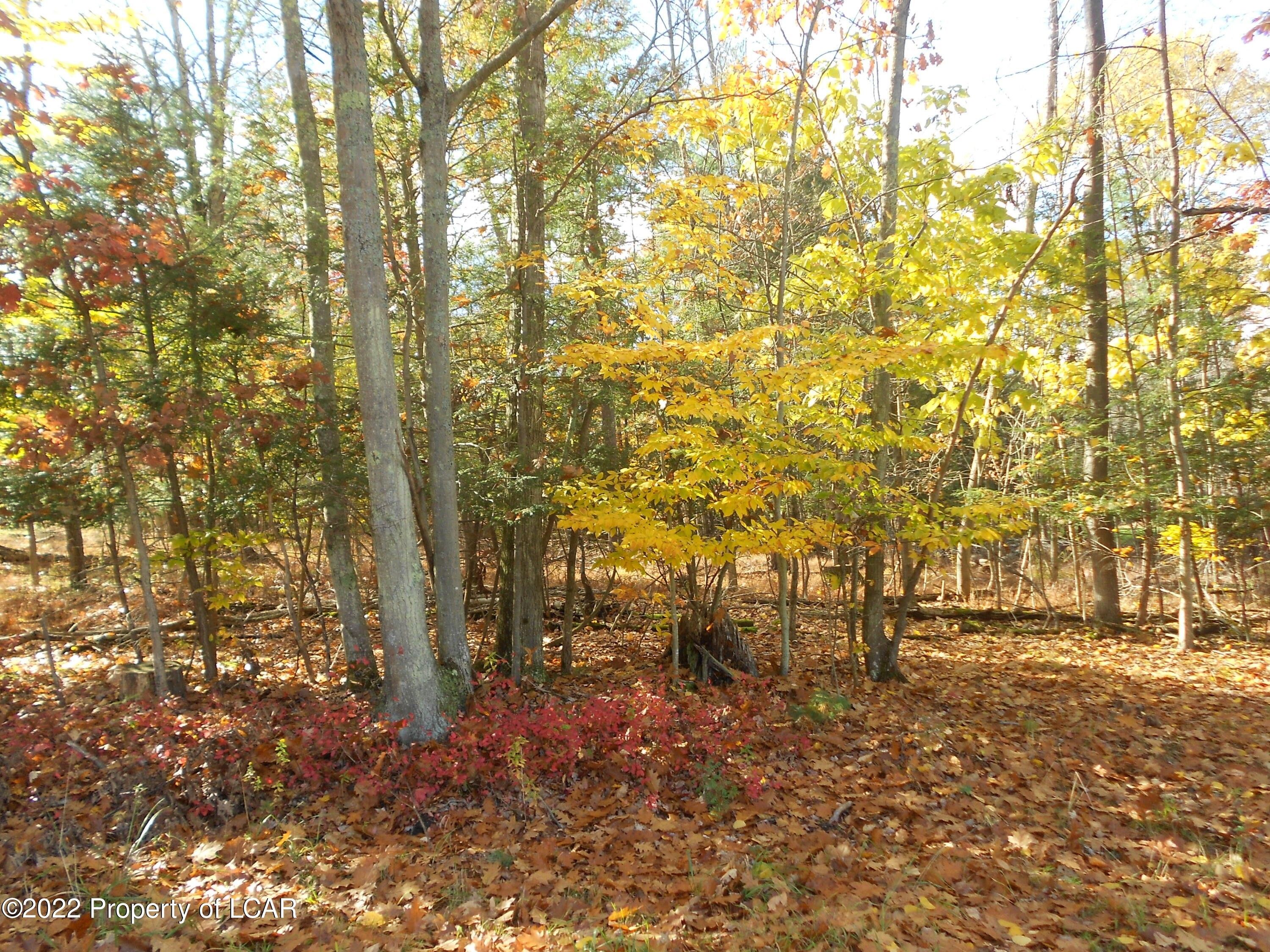 Dallas, Luzerne County, PA Farms and Ranches, Homesites for sale