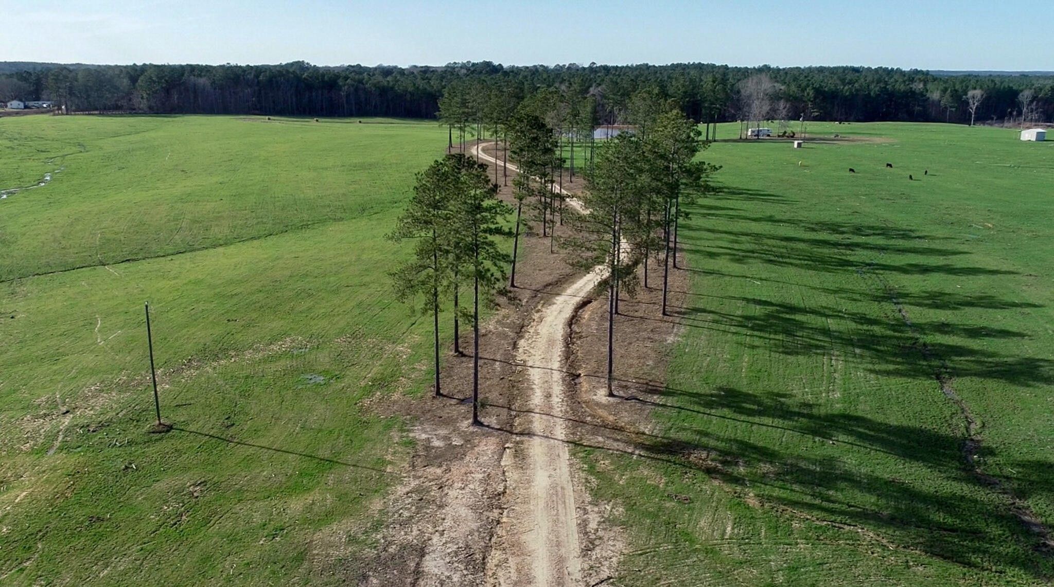 Prentiss, Jefferson Davis County, MS Farms and Ranches for sale