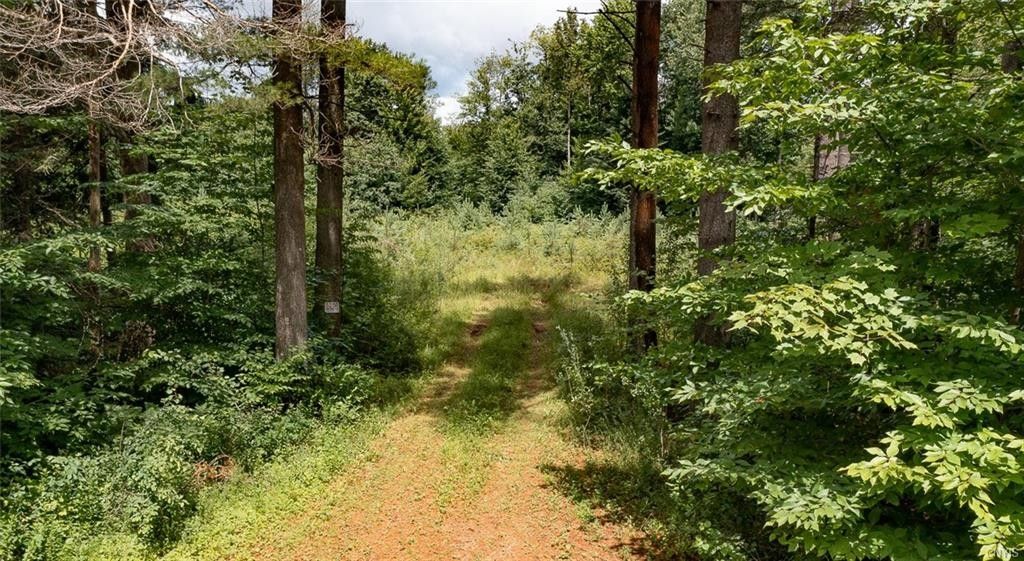 Lyonsdale, Lewis County, NY Undeveloped Land for sale Property ID