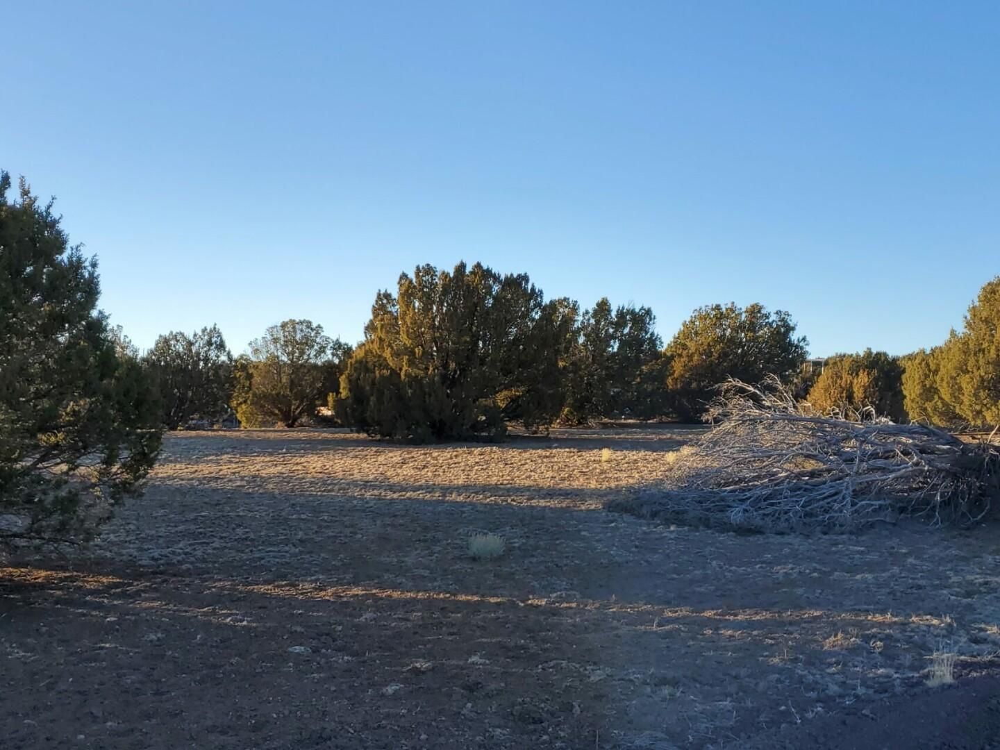 Concho, Apache County, AZ Recreational Property, Hunting Property