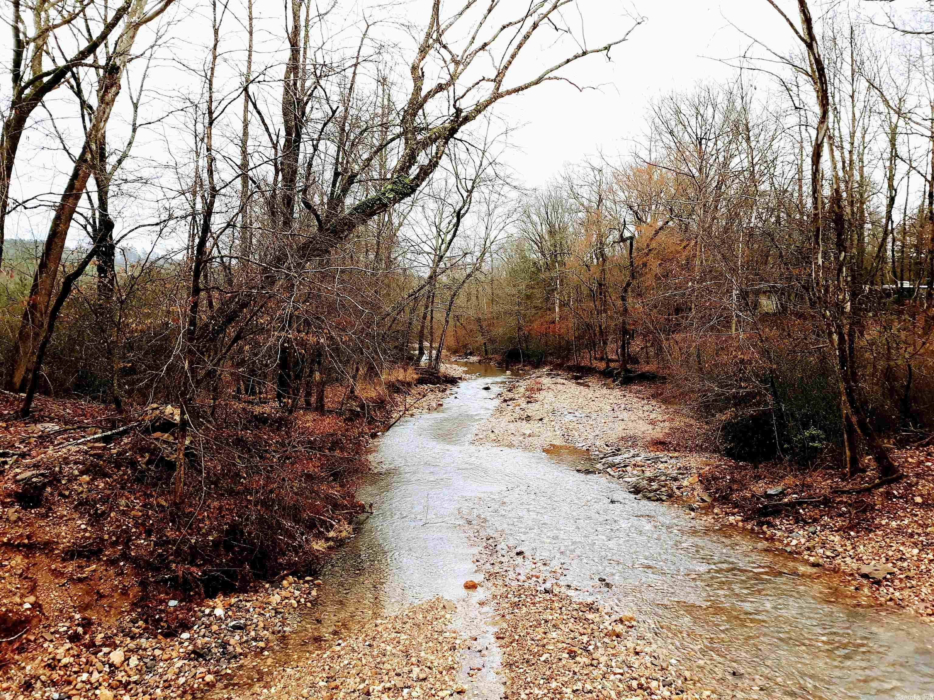 Bonnerdale, Montgomery County, AR Undeveloped Land, Lakefront Property