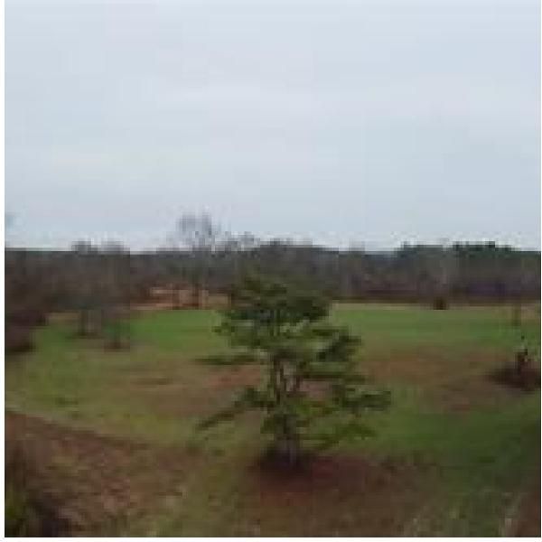 Auburn, Lee County, AL Farms and Ranches for sale Property ID