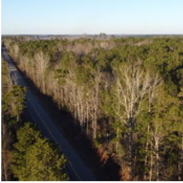 Cusseta, Chambers County, AL Farms and Ranches for sale Property ID
