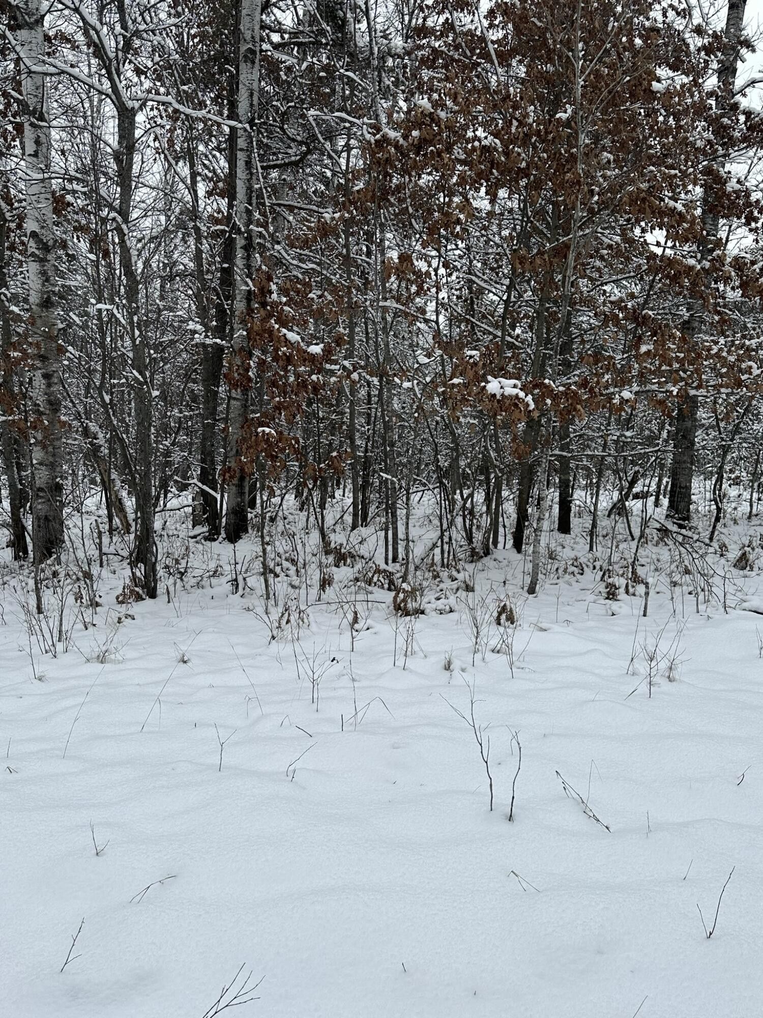 Atlanta, Montmorency County, MI Undeveloped Land, Homesites for sale