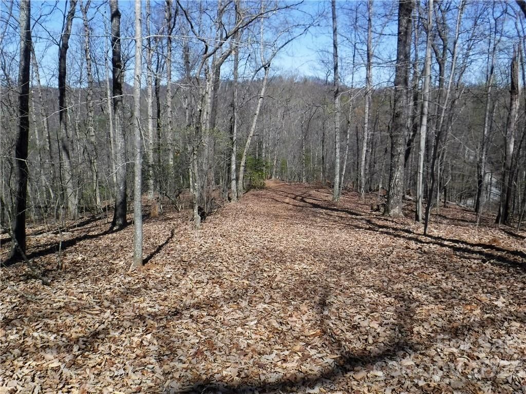 Union Mills, Rutherford County, NC Undeveloped Land for sale Property