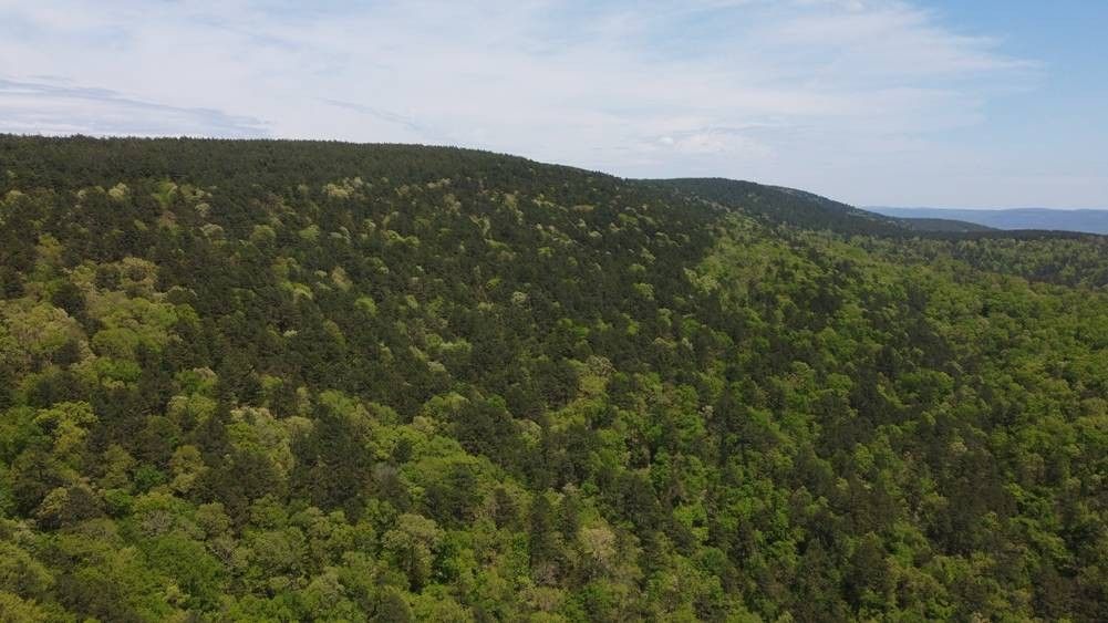 Nashoba, Pushmataha County, OK Undeveloped Land for sale Property ID