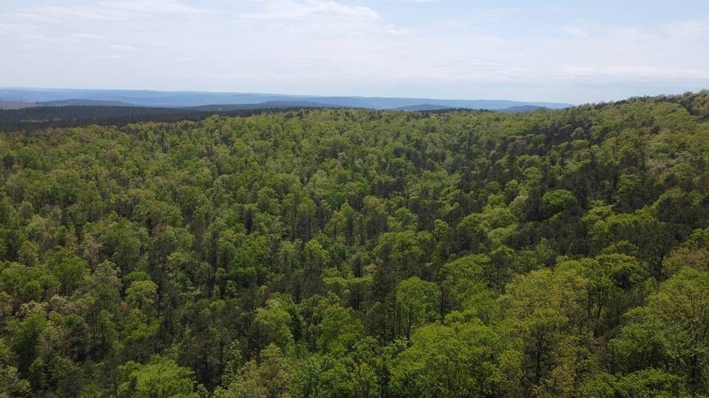 Nashoba, Pushmataha County, OK Undeveloped Land for sale Property ID