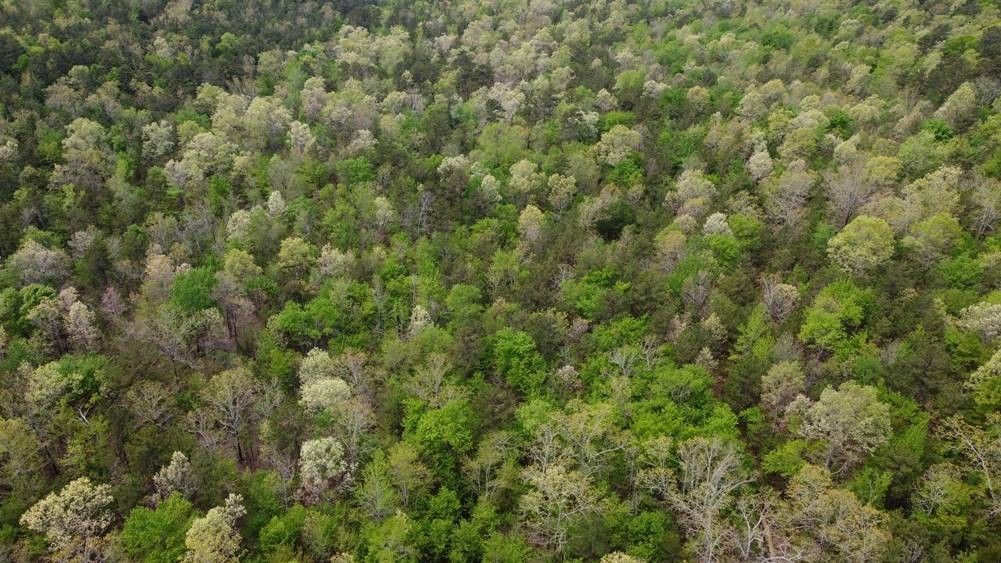 Nashoba, Pushmataha County, OK Undeveloped Land for sale Property ID