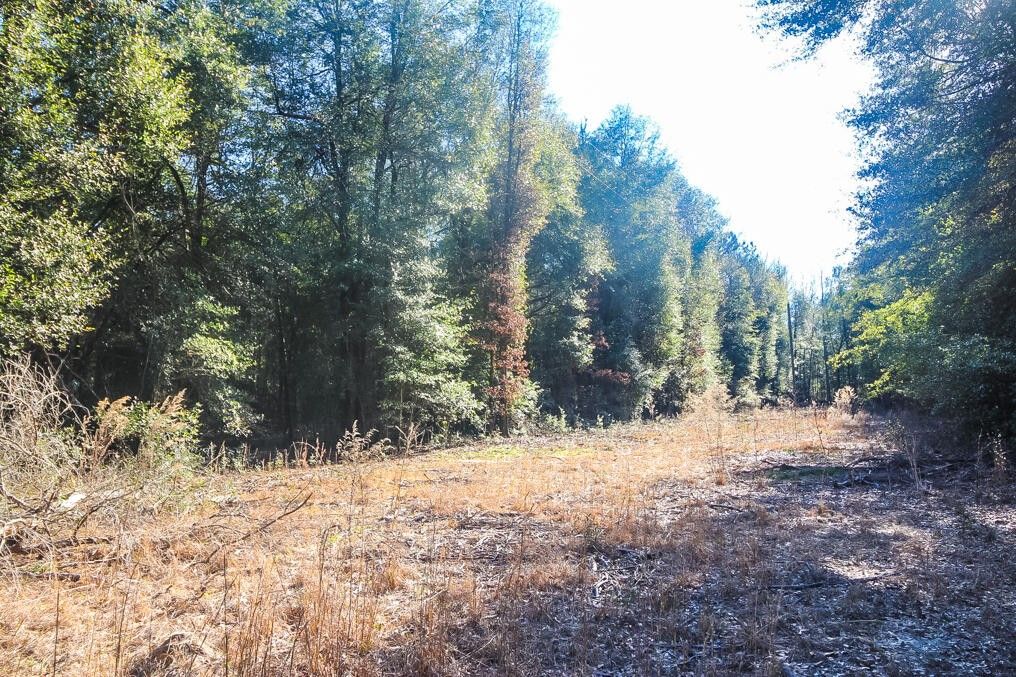 Hephzibah, Richmond County, GA Farms and Ranches, Homesites for sale