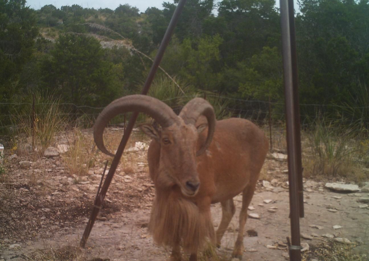 J S Murry Ranch Road, Carta Valley, TX 78880 LandWatch