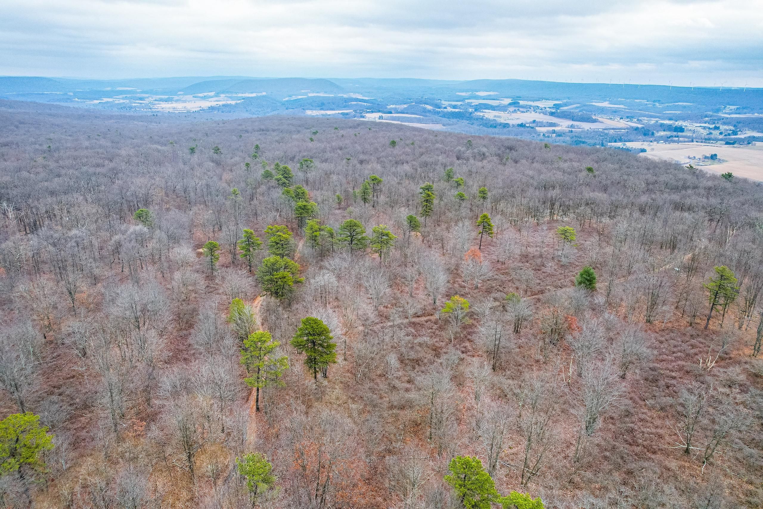 Ringtown, Schuylkill County, PA Recreational Property, Timberland