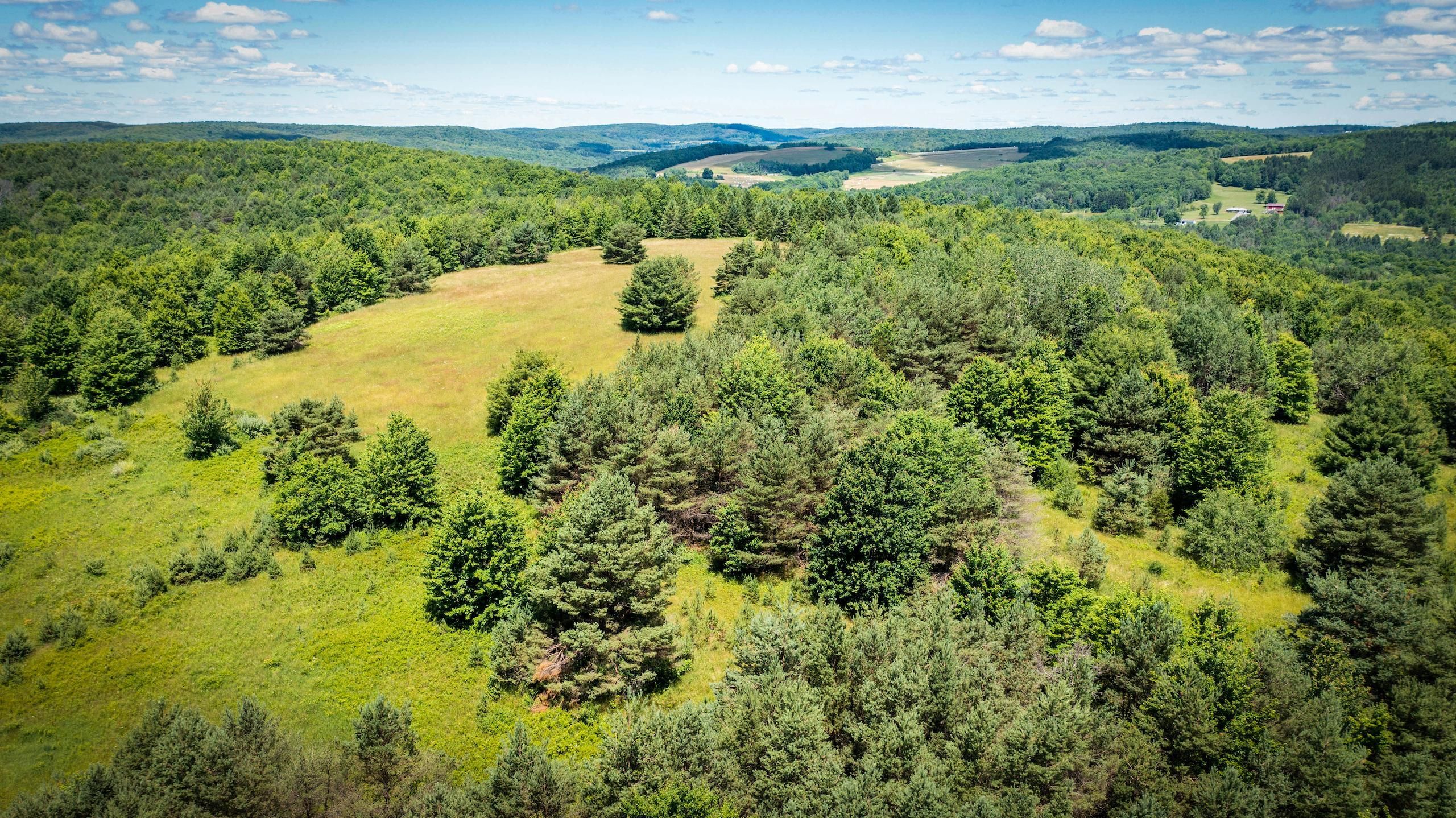 Erin, Chemung County, NY Recreational Property, Timberland Property