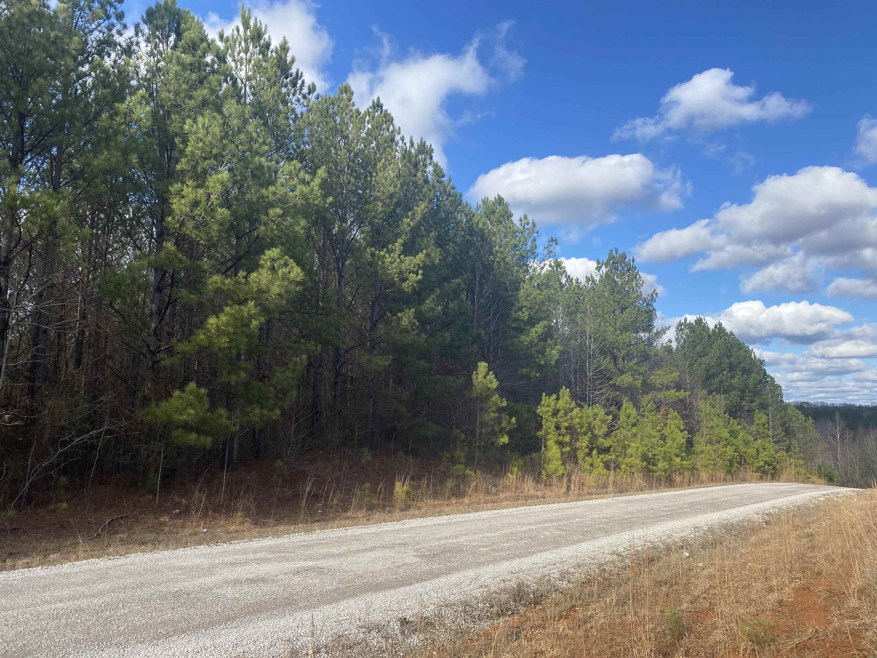 Tiplersville, Tippah County, MS Undeveloped Land for sale Property ID