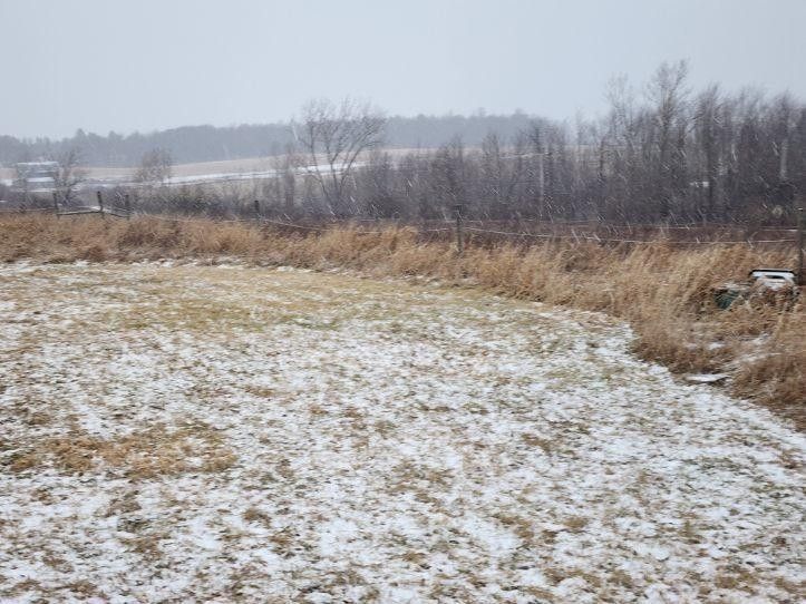 Dansville, Livingston County, NY Undeveloped Land for sale Property ID