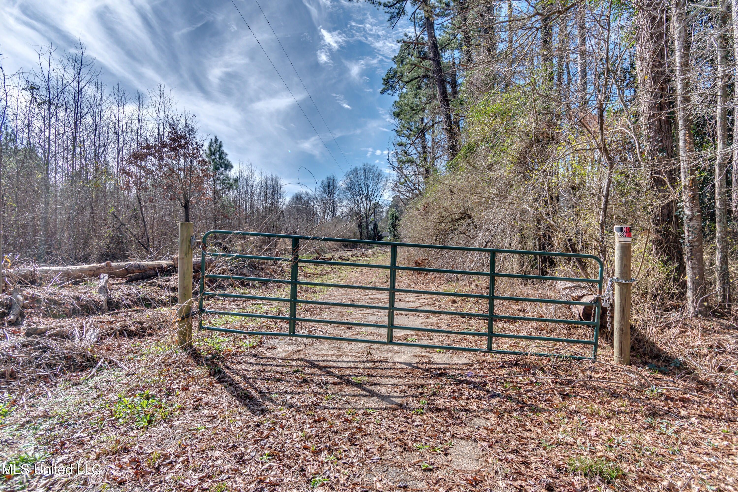 Raleigh, Smith County, MS Undeveloped Land for sale Property ID