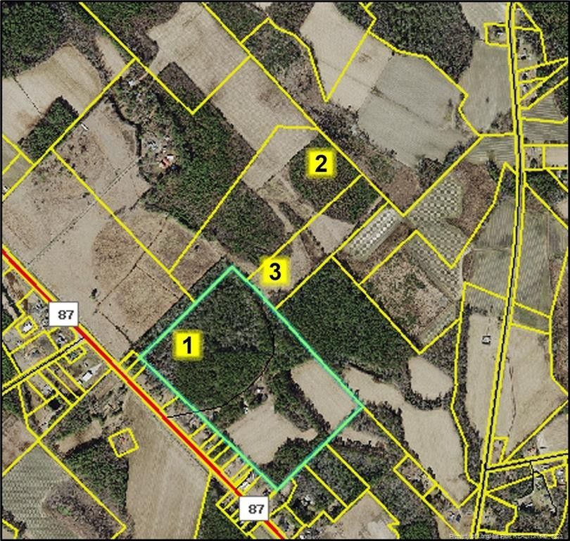 Bladenboro, Bladen County, NC Undeveloped Land for sale Property ID