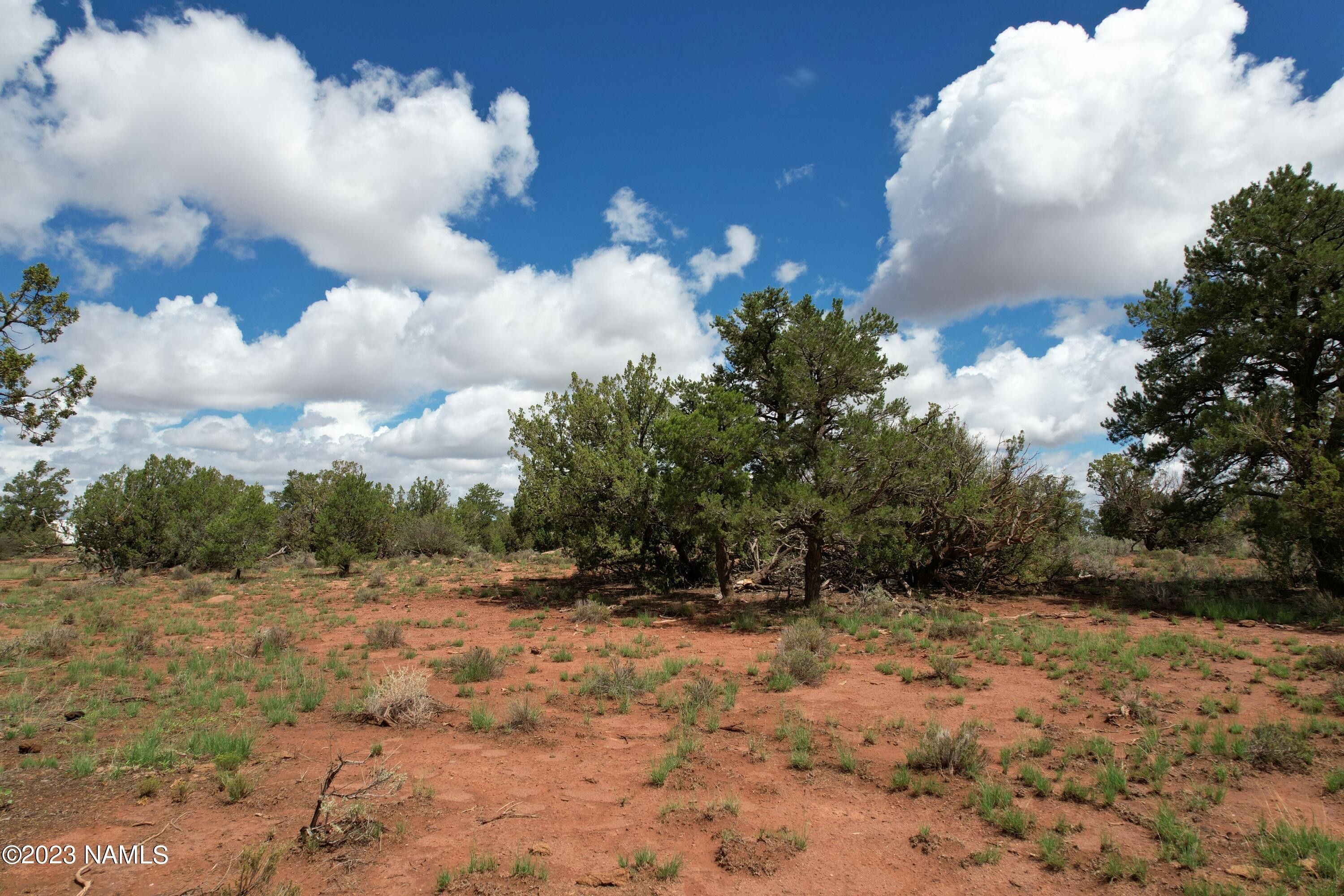 Williams, Coconino County, AZ Undeveloped Land, Homesites for sale
