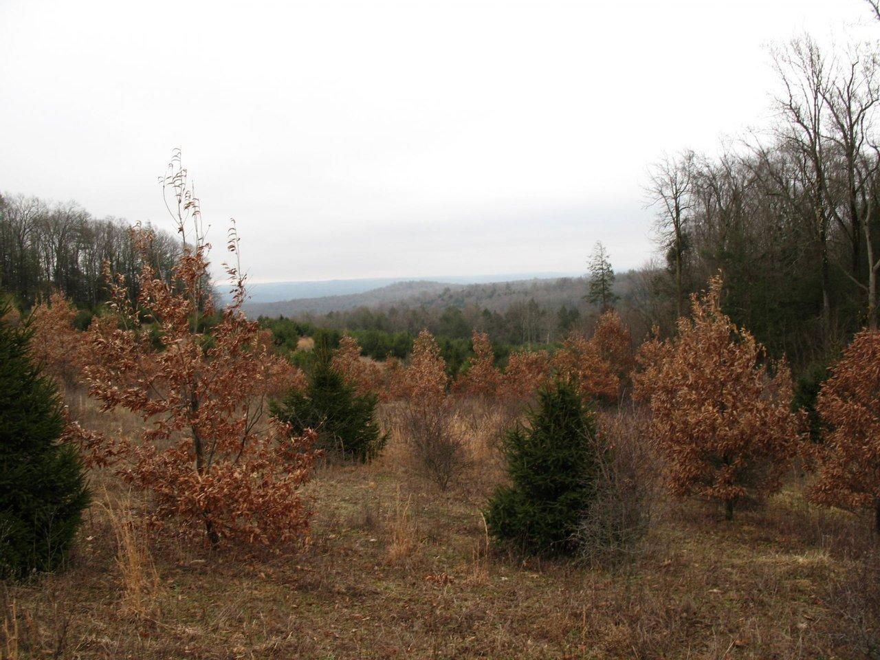 Swartz Road, Flinton, PA 16640 LandWatch