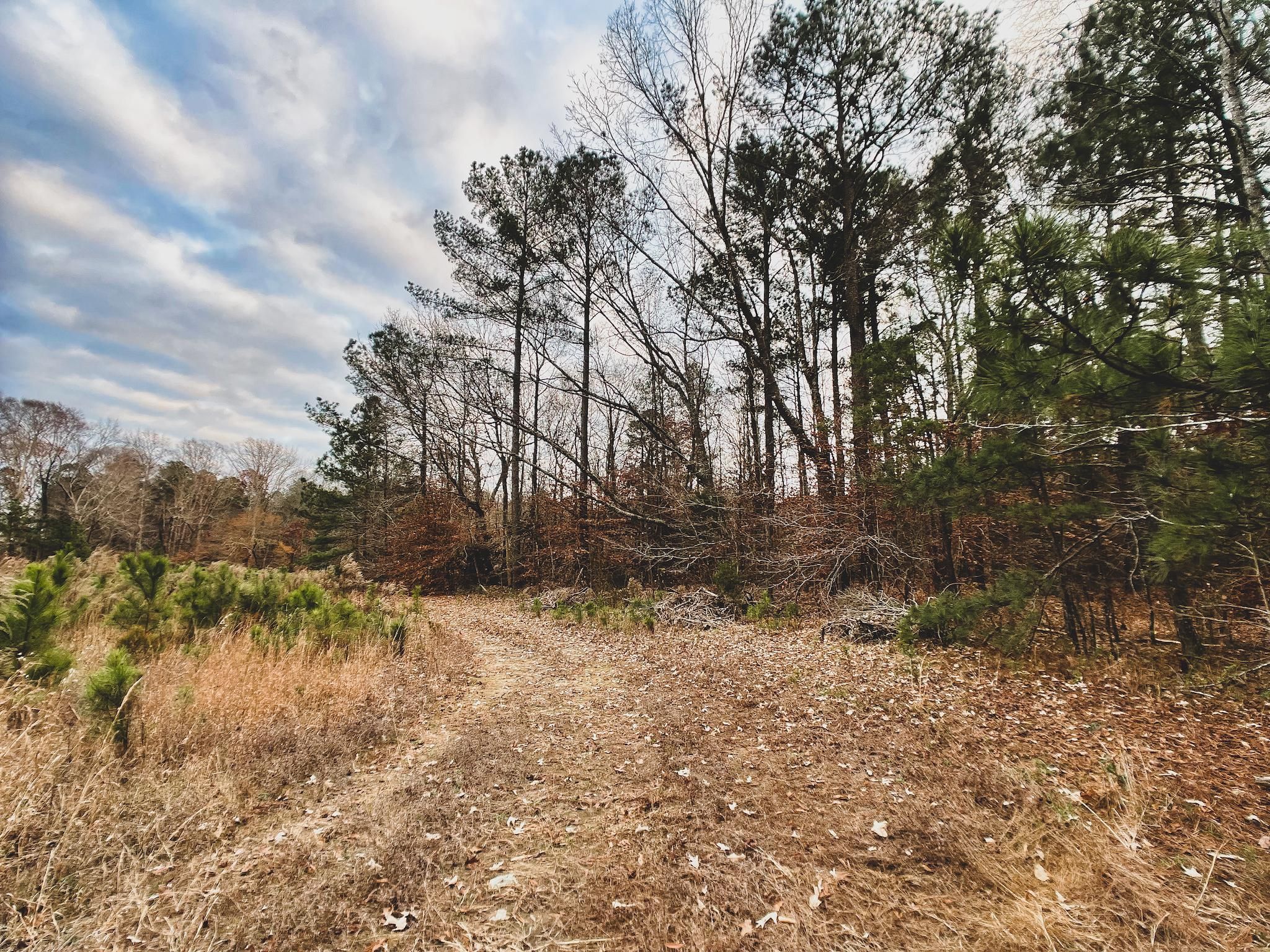 J S Pope Road, Halifax, NC 27839 MLS 2492005 LandWatch