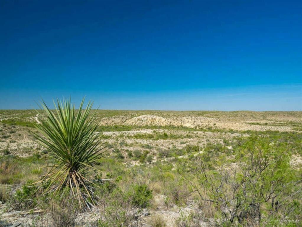 Comstock, Terrell County, TX Undeveloped Land for sale Property ID