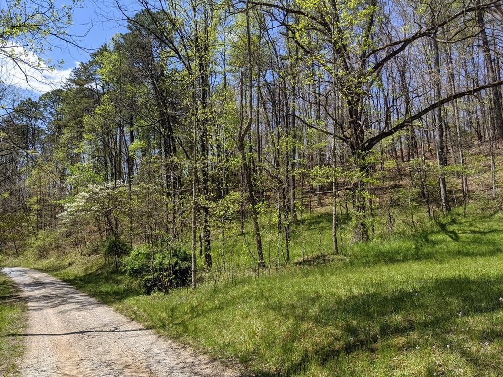 Franklin, Macon County, NC Homesites for sale Property ID 415670816